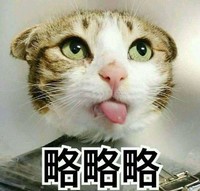 猫咪 吐舌头 略略略 可爱 装逼