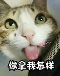 猫咪  吐舌头 可爱 你拿我怎样