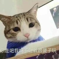 猫咪 可爱 大眼睛 你走吧 我妈不让跟 傻子玩