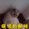 赞 good 萌宠 猫 猫咪 喵星人 你说的都对 棒