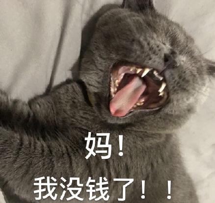 猫星人 可爱 魔性 沙雕 文字表情包