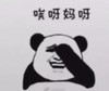 抖音 内衣 搞怪 熊猫人 唉呀妈呀
