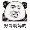暴漫 熊猫头 好冷啊 冷死了 搞怪 逗