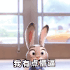 兔子 我有点懵逼 可爱 萌萌哒