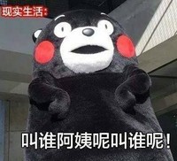搞笑 熊本熊 反差萌 追星女孩 文字表情包