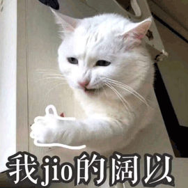 萌宠 猫 猫咪 喵星人 jio 阔以 可以 赞