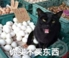 猫咪 喵星人 文字表情包 搞笑 四川话