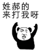 姓氏 熊猫人 暴漫 来打我呀 搞怪 姓氏你表情包