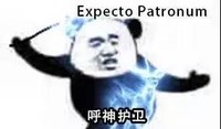 熊猫人 暴漫 哈利波特咒语 咒语 搞怪 逗