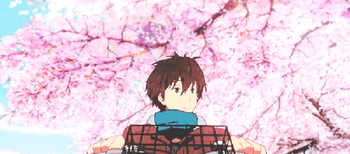 樱花 单车 风景 人物