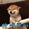 萌宠 狗 柴犬 开心 炒鸡 超级 soogif soogif出品
