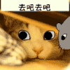 猫咪 老鼠 动画 动态