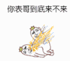 金馆长 打架 表哥 可爱 萌