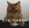 萌宠 猫星人 我只是一只孤零零的小猫咪 可怜 搞怪 呆萌