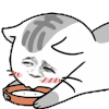 斗图 舔舐 搞笑 猥琐 喝水