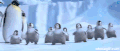 企鹅 penguin 快乐的大脚  卡通
