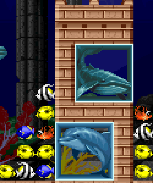 游戏 鱼 游乐中心 海豚 水族馆 鲸 ovgif fergzilla 优秀的系统