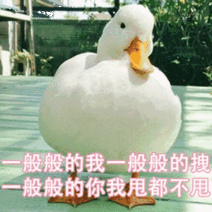 小鸭子 搞笑 胖乎乎 一般般