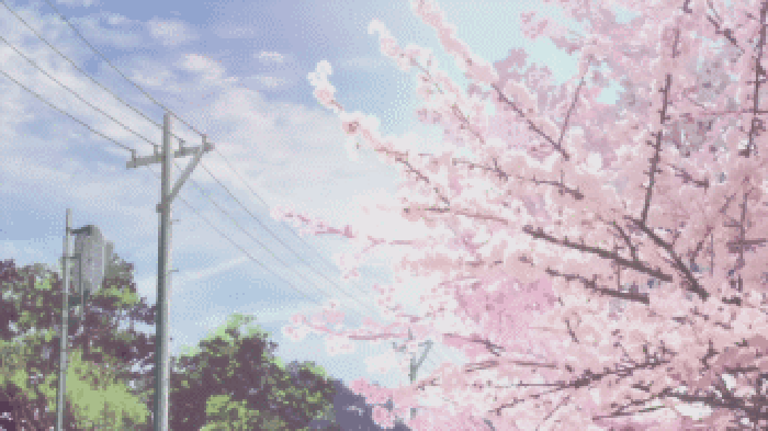 樱花 电线 蓝天 风景
