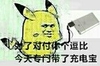 皮卡丘 卡通 搞笑 为了对付你个逗逼