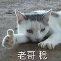 老哥 稳 猫