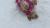 玩耍 雪地 可爱 翻滚