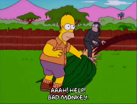 帮助 12季 17集 猴子 荷马辛普森 运行 攻击 大喊 12x17