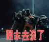 周末去浪了