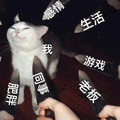 猫 肥胖 感情 生活