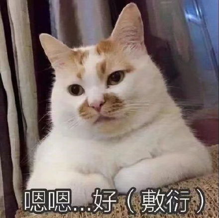 萌宠gif猫星人gif嗯嗯好gif敷衍gif呆萌gif可爱gif