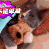 猫 喵星人 动物 可爱