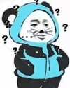 抖音表情包 抖音表情 抖音 抖音表情 抖音表情包 抖音套路 抖音 熊猫插兜