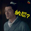 琅琊榜 电视剧 好看 胡歌 纳尼？
