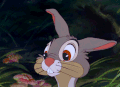 兔子 动画 耳朵
