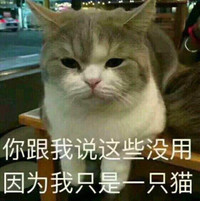 猫咪 喵星人 说这些没用 我是一只猫 斗图 搞笑 可爱