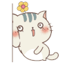 猫咪 红脸蛋 靠墙 小花