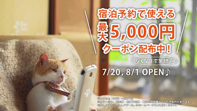 温泉猫 广告 日本 玩手机