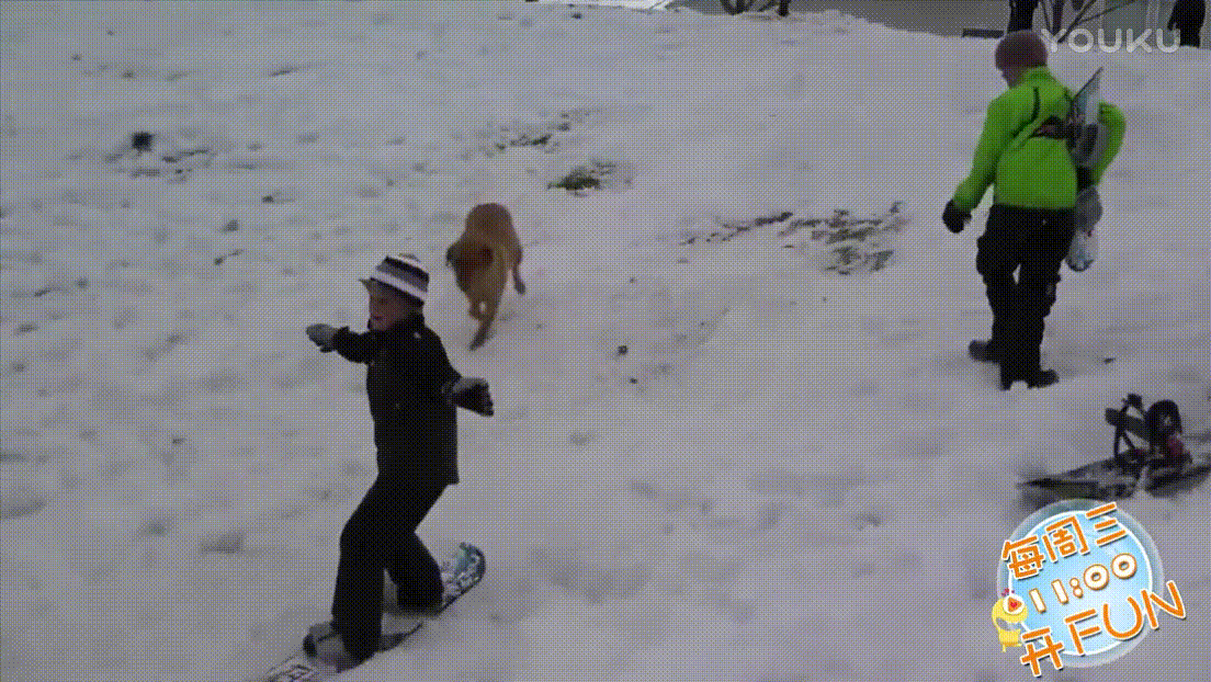 滑雪板 狗狗 雪地 小男孩