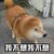 狗狗 摇头 搞笑 呆萌 斗图 我不想我不想