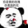 暴漫 文字表情包 你我的玫瑰你是我的花 逗 沙雕 魔性