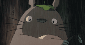 龍貓