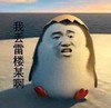 我丢雷楼某啊 斗图 搞笑 猥琐 鸡蛋壳