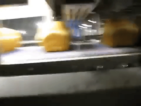面包 运转 制作 生产线