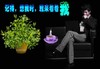 图片 动图   风景 男人