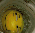 洗衣机 黄色 水 大眼睛