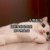 萌宠 猫星人 任世界纷纷扰扰 我不想起床 搞怪 呆萌