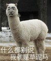 草泥马 什么都别说  斗图 搞笑 猥琐