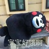 熊本熊 可爱 萌萌哒 宝宝好饿啊