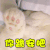 猫咪 喵星人 跪安 搞笑