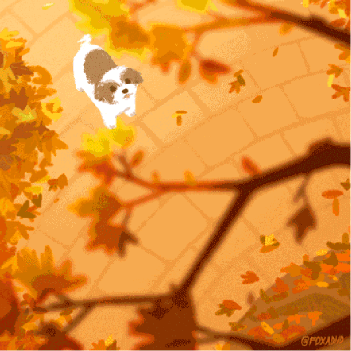 小狗 抱走 秋天 落叶